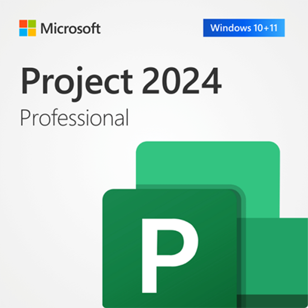 Project Professional 2024
